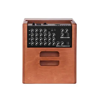 ONEFORSTRINGS 8FERDI Guitar Amplifier - Wood