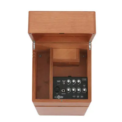 ACUS ALLAROUND 8 Amplifier - 50 Watt