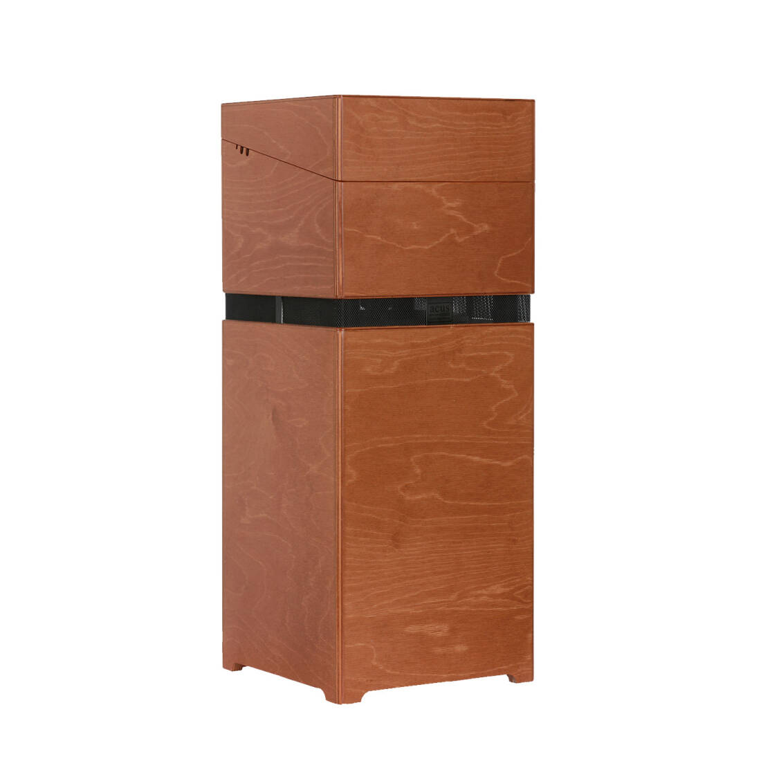 ACUS ALLAROUND 10 Amplifier