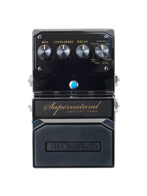 Digitech Ambient Reverb Pedal | Long & McQuade