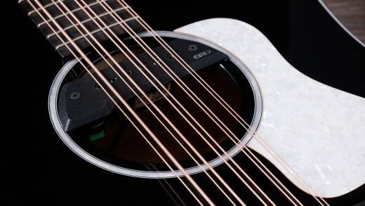 250ce Plus BLK Bajo Quinto 10-String Acoustic-Electric Guitar with Case - Black