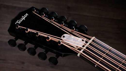 250ce Plus BLK Bajo Quinto 10-String Acoustic-Electric Guitar with Case - Black