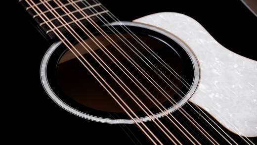 250ce Plus Doce Doble 12-string Unison with Case - Black
