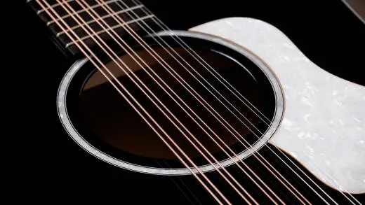 250ce Plus Doce Doble 12-string Unison with Case - Black