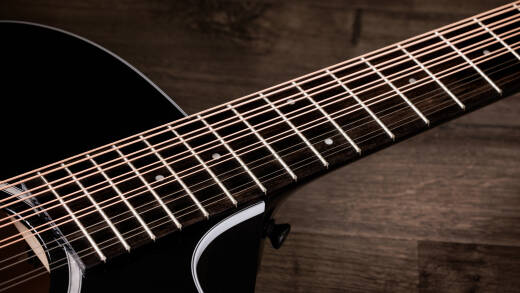 250ce Plus Doce Doble 12-string Unison with Case - Black