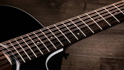 250ce Plus Doce Doble 12-string Unison with Case - Black