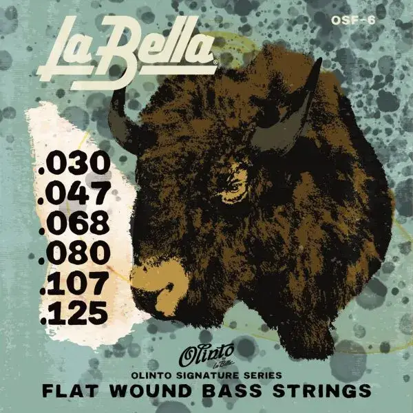 Olinto Signature Series Flat Wound 6-String Bass Strings (30-125)