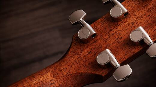 Gold Label 714e Blacktop Indian Rosewood Acoustic-Electric Guitar with Case