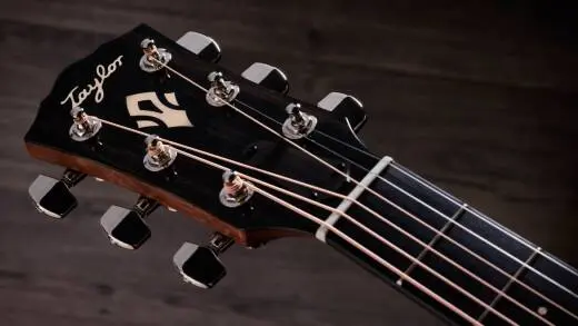 Gold Label 714e Indian Rosewood Acoustic-Electric Guitar with Case - Natural