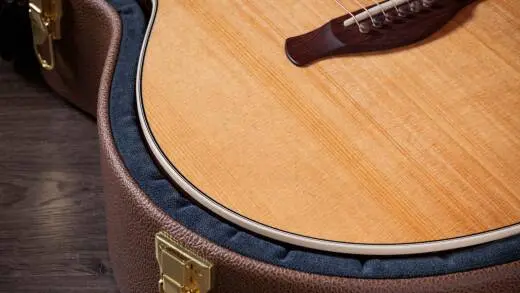 Gold Label 714e Indian Rosewood Acoustic-Electric Guitar with Case - Natural