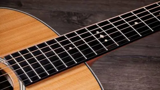 Gold Label 714e Indian Rosewood Acoustic-Electric Guitar with Case - Natural