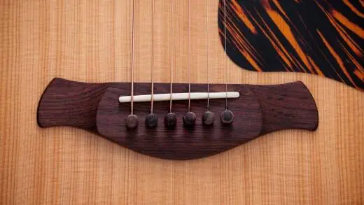 Gold Label 714e Indian Rosewood Acoustic-Electric Guitar with Case - Natural