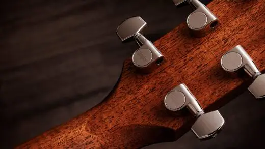 Gold Label 714e Indian Rosewood Acoustic-Electric Guitar with Case - Natural