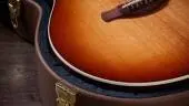 Gold Label 714e Indian Rosewood Acoustic-Electric Guitar with Case - Sunburst with Firestripe Pickguard
