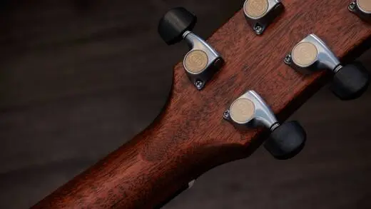 Gold Label 814e Honduran Rosewood Acoustic-Electric Guitar with Case - Natural