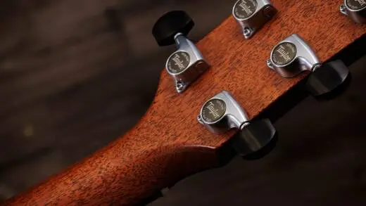 Gold Label 817e Honduran Rosewood Acoustic-Electric Guitar with Case - Natural