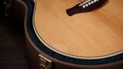 Gold Label 814e Honduran Rosewood Acoustic-Electric Guitar with Case - Natural