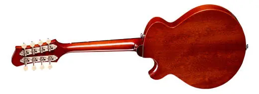 El Ray Acoustic/Electric Mandolin with Hardshell Case - Goldburst