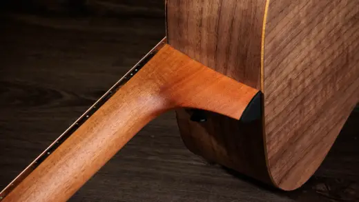 Jacob Collier Academy 22e 5-String Walnut Acoustic-Electric Guitar