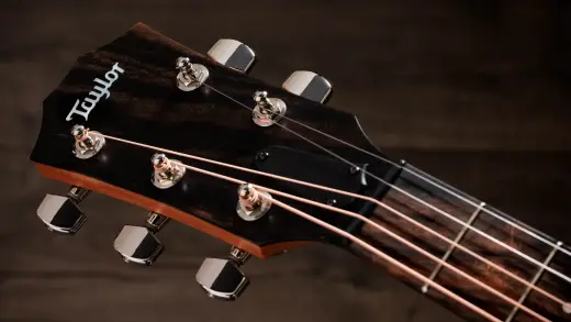 Jacob Collier Academy 22e 5-String Walnut Acoustic-Electric Guitar