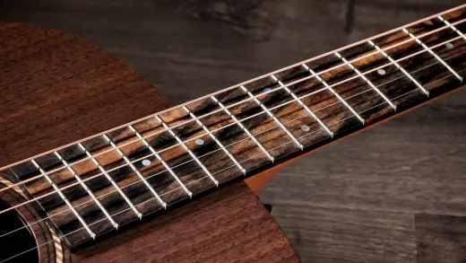 Jacob Collier Academy 22e 5-String Walnut Acoustic-Electric Guitar