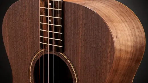 Jacob Collier Academy 22e 5-String Walnut Acoustic-Electric Guitar