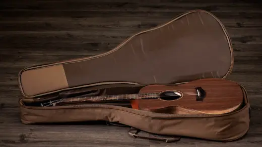 Jacob Collier Academy 22e 5-String Walnut Acoustic-Electric Guitar