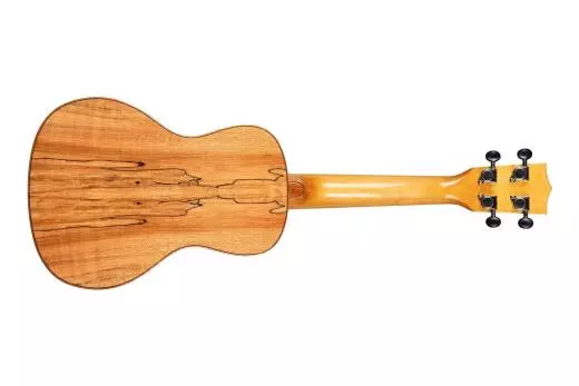 Solid Spruce w/ Flame Maple Concert Ukulele