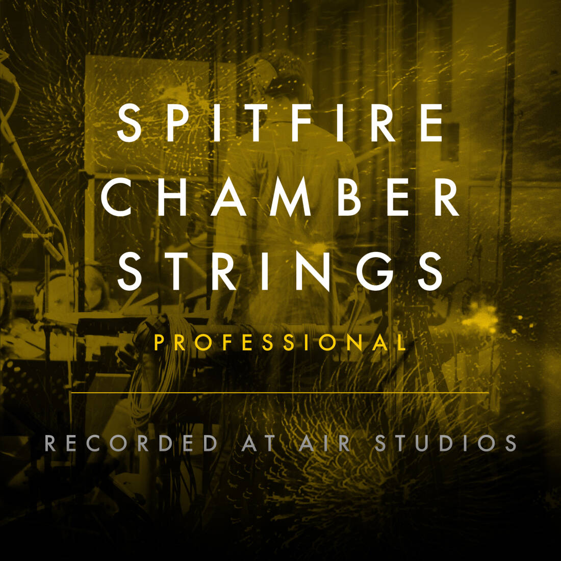 Chamber Strings Professional - Download