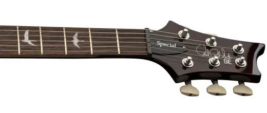 SE Special Semi-Hollow Electric Guitar with Gigbag - Orange Tiger Smokeburst