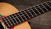Jacob Collier GS Mini 5-string Acoustic Guitar with Gigbag