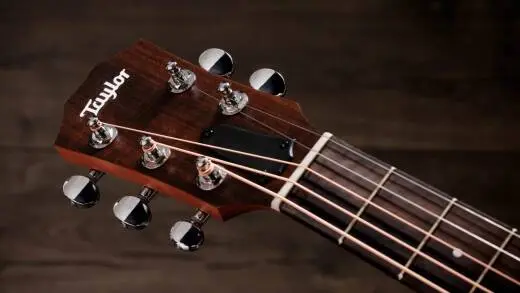 Jacob Collier GS Mini 5-string Acoustic Guitar with Gigbag