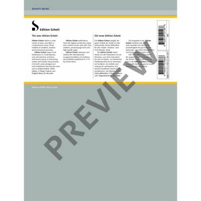 Liebesleid (Love\'s Sorrow) - Kreisler/Fougeray - Violin/Guitar