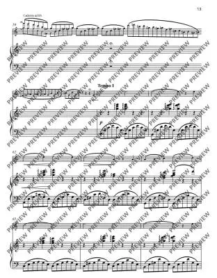 Con Amore: 14 Original Pieces and Arrangements - Birtel - Violin/Piano - Book