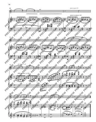 Con Amore: 14 Original Pieces and Arrangements - Birtel - Violin/Piano - Book