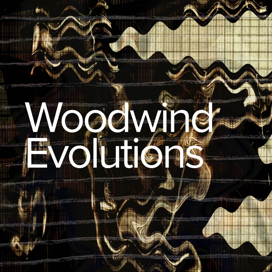 Woodwind Evolutions - Download