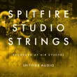 Spitfire Audio - Studio Strings - Download
