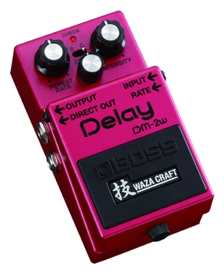 Waza Craft Delay Pedal