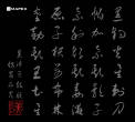 "Mapex - Mapex Drum Rug - Oriental Calligraphy"
