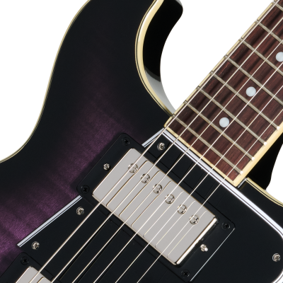 Les Paul Special Double Cut Figured Electric Guitar - Dark Purple Burst