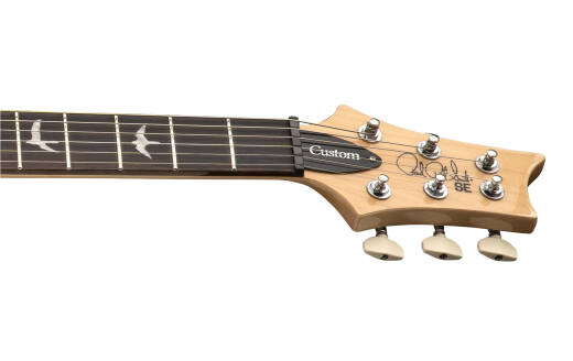 SE Custom 24 Electric Guitar with Gig Bag - Slate Blue