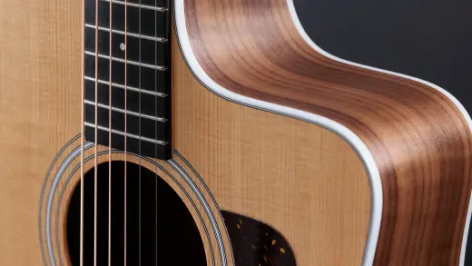 210ce Dreadnought Walnut/Spruce Acoustic-Electric Guitar with Gig Bag