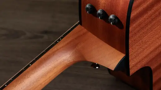 210ce Dreadnought Walnut/Spruce Acoustic-Electric Guitar with Gig Bag