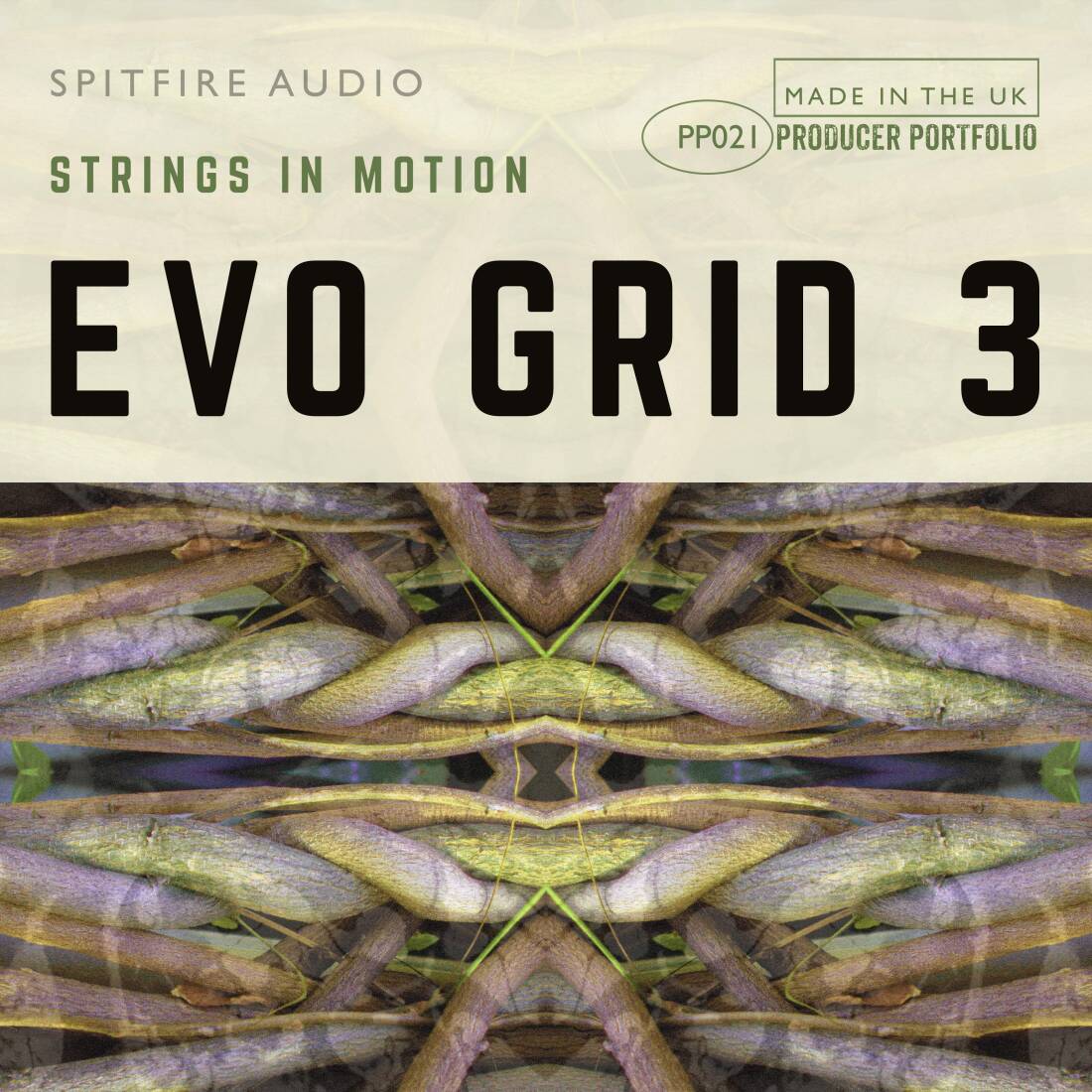 Evo Grid 3 - Download