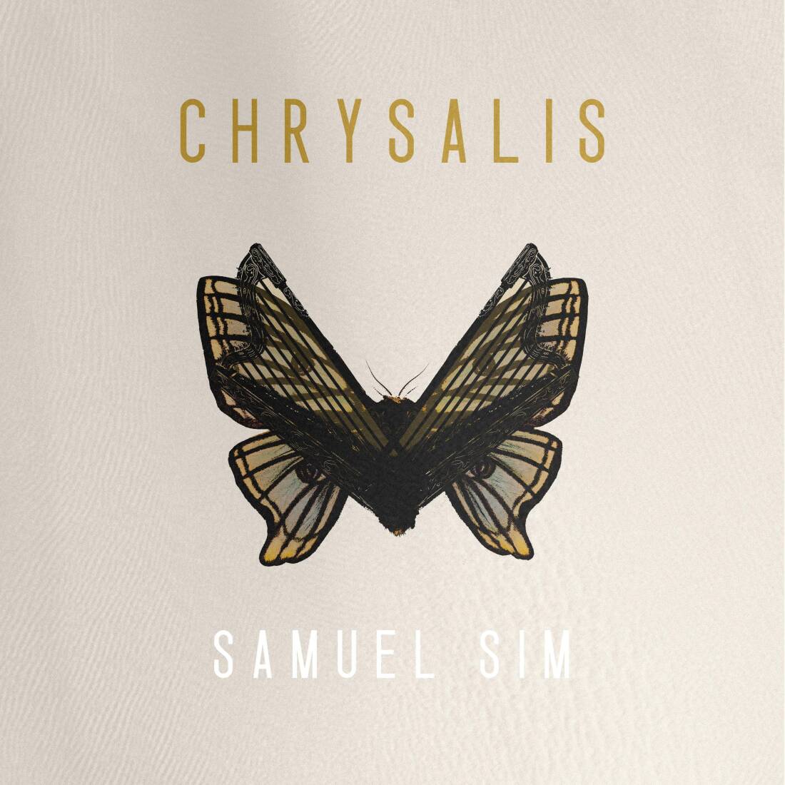 Samuel Sim Chrysalis - Download