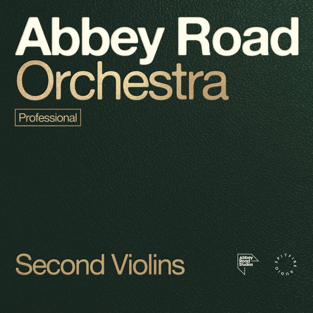 Abbey Road Orchestra: 2nd Violins Professional - Download