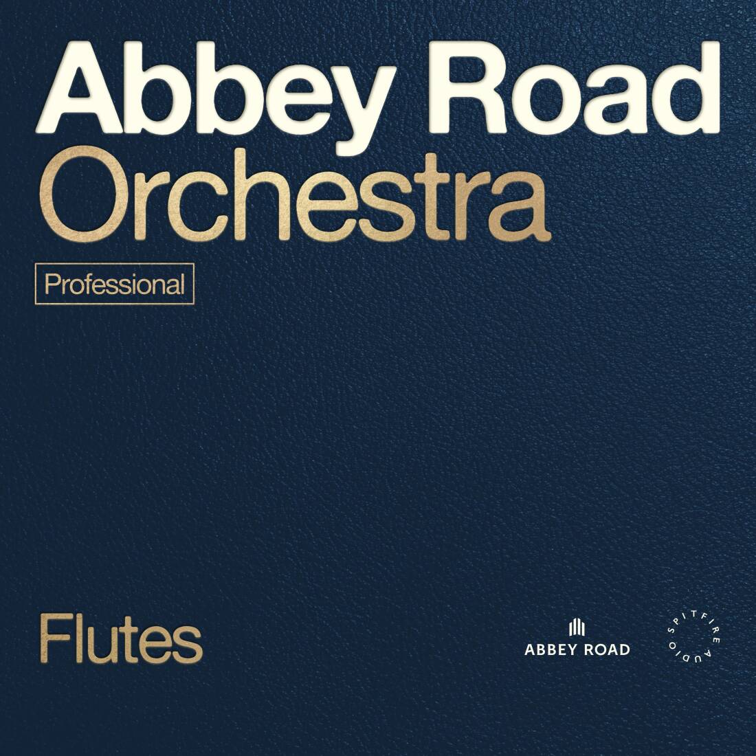 Abbey Road Orchestra: Flutes Professional - Download