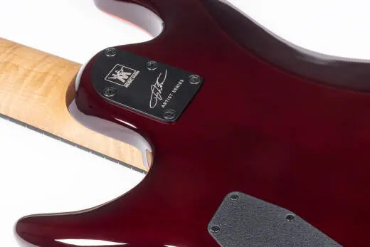 Jason Richardson Cutlass HT 8-String Electric Guitar with Mono Bag - Death Mountain