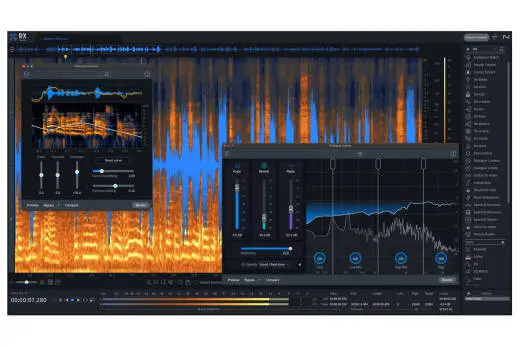 iZotope - RX 11 Advanced, Upgrade from RX Standard - Download