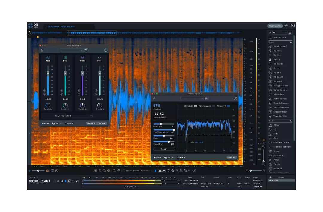 RX 11 Standard, Upgrade from RX Elements - Download